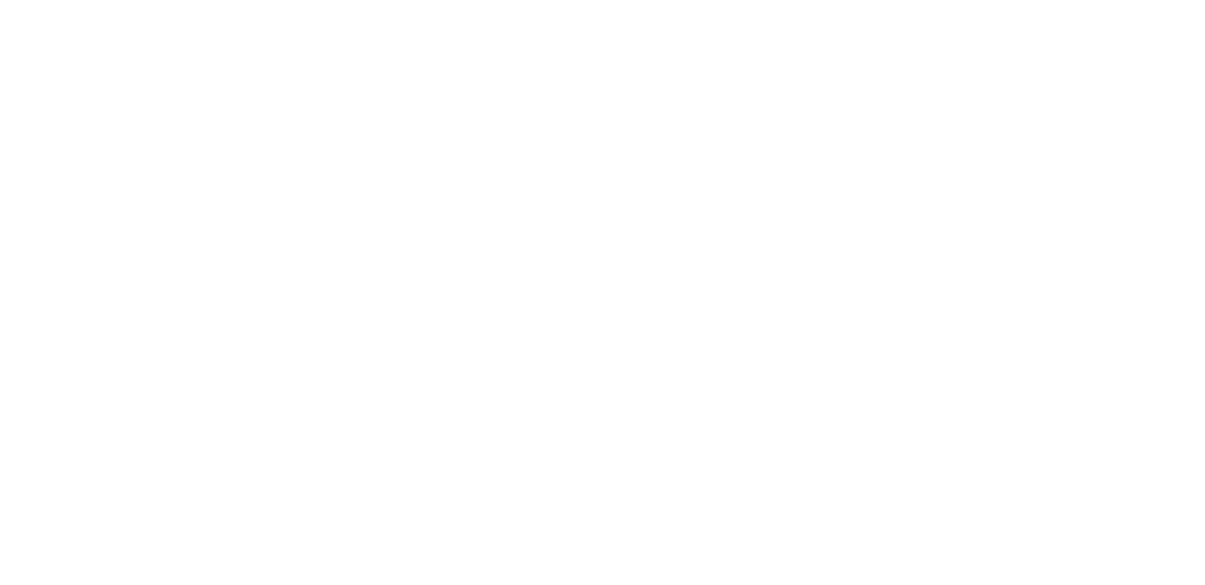 Champion Solar